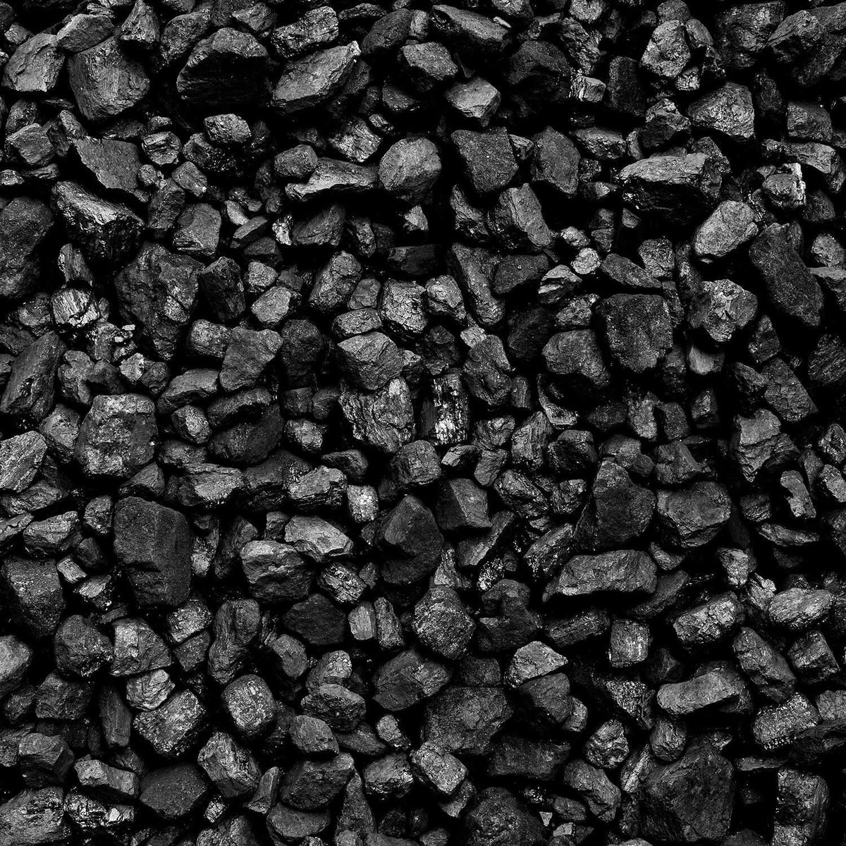 Steinkohle 5 – 15 mm 50 x 20 kg