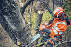 Husqvarna 560 XP® Mark II / 45 – Modell 2025